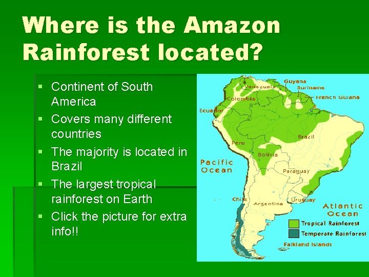 Where is the Amazon Rainforest located? § Continent of South America § Covers many