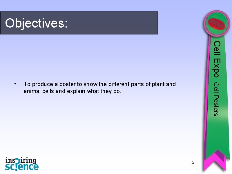 Objectives: Cell Expo To produce a poster to show the different parts of plant