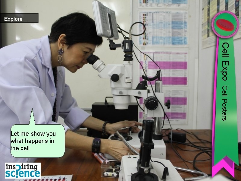 Explore Cell Expo Cell Posters Let me show you what happens in the cell