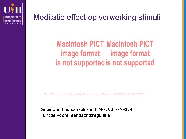 Meditatie effect op verwerking stimuli Gebieden hoofdzakelijk in LINGUAL GYRUS. Functie vooral aandachtsregulatie. 