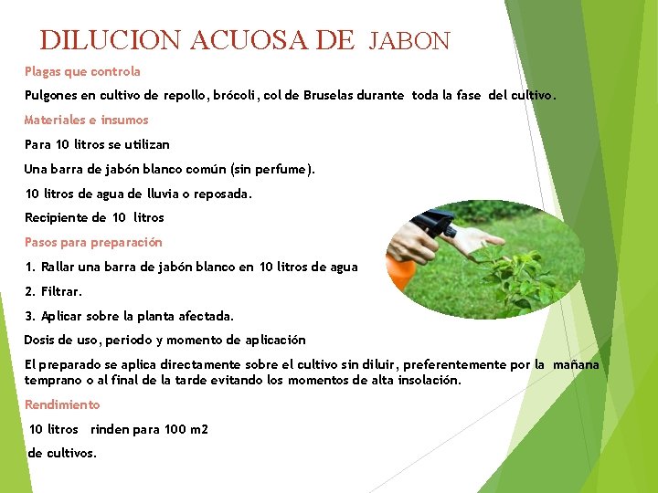 DILUCION ACUOSA DE JABON Plagas que controla Pulgones en cultivo de repollo, brócoli, col