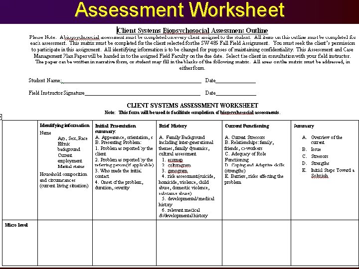 Assessment Worksheet 