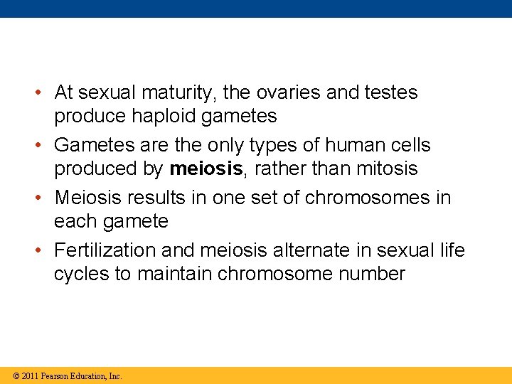  • At sexual maturity, the ovaries and testes produce haploid gametes • Gametes