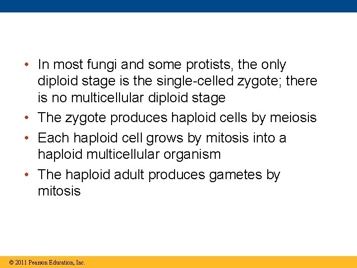  • In most fungi and some protists, the only diploid stage is the