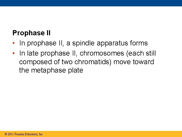 Prophase II • In prophase II, a spindle apparatus forms • In late prophase
