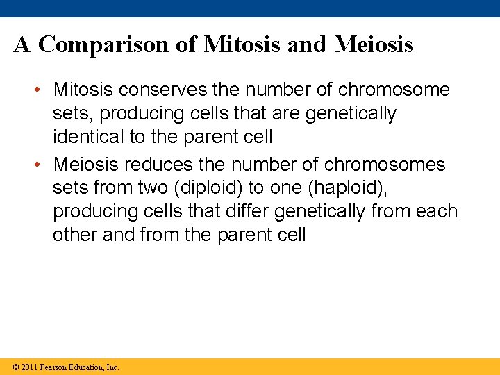 A Comparison of Mitosis and Meiosis • Mitosis conserves the number of chromosome sets,