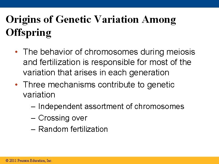 Origins of Genetic Variation Among Offspring • The behavior of chromosomes during meiosis and