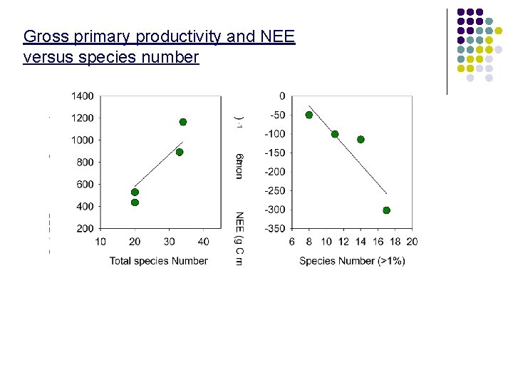 Gross primary productivity and NEE versus species number 