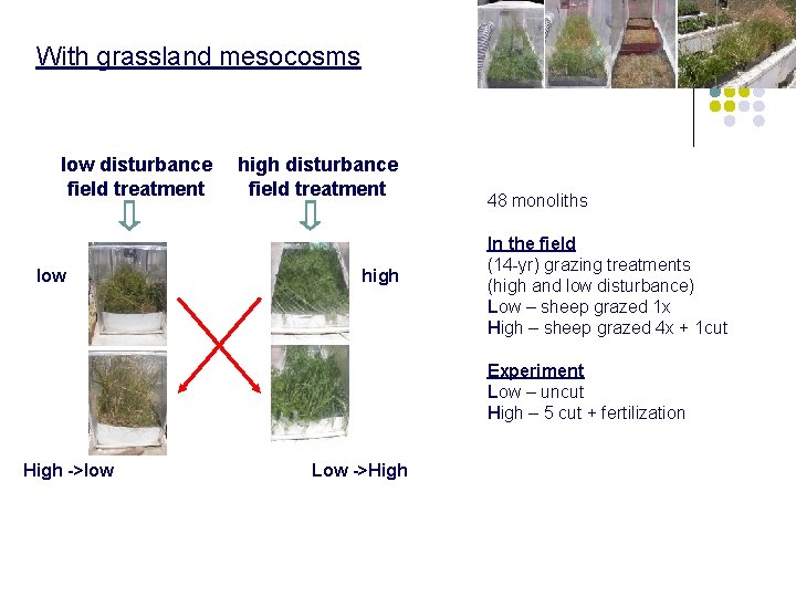 With grassland mesocosms low disturbance field treatment low high disturbance field treatment high 48