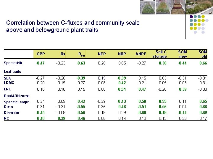 Correlation between C-fluxes and community scale above and belowground plant traits GPP Rs Reco