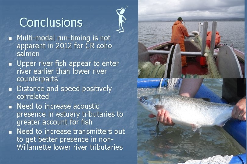 Conclusions n n n Multi-modal run-timing is not apparent in 2012 for CR coho
