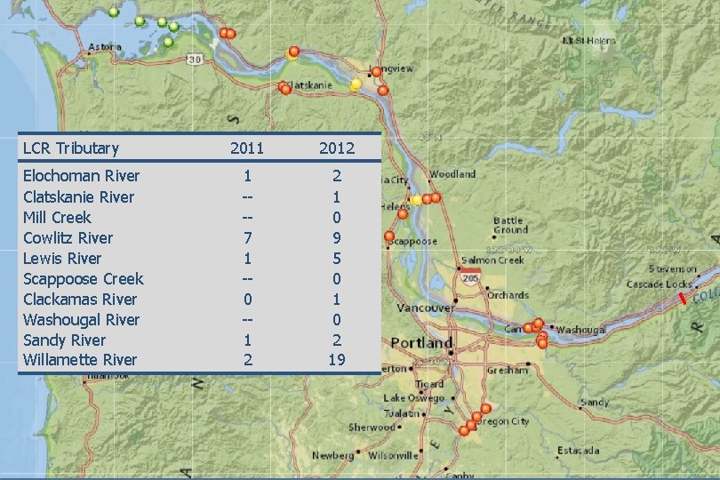 LCR Tributary n 129 coho 2011 instrumented in 2011, 2012 303 in 2012 River