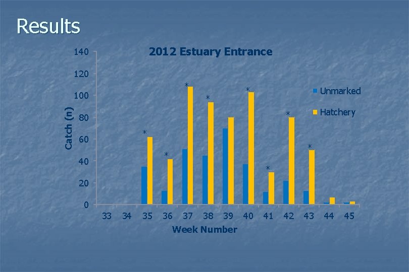 Results 2012 Estuary Entrance 140 120 * Catch (n) 100 * * Unmarked Hatchery