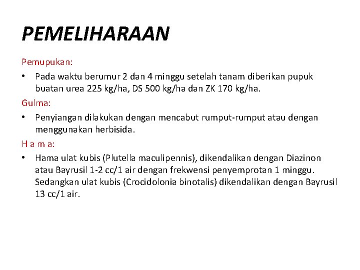 PEMELIHARAAN Pemupukan: • Pada waktu berumur 2 dan 4 minggu setelah tanam diberikan pupuk