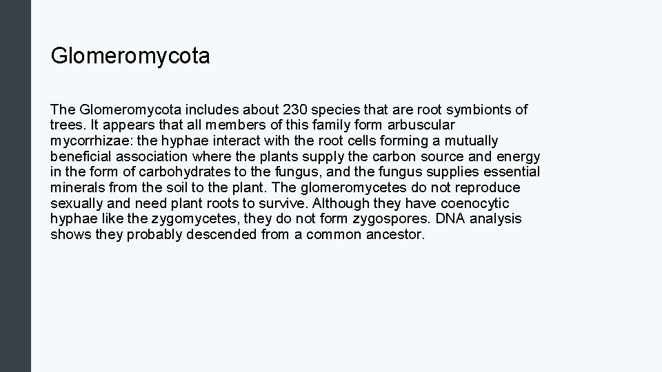 Glomeromycota The Glomeromycota includes about 230 species that are root symbionts of trees. It