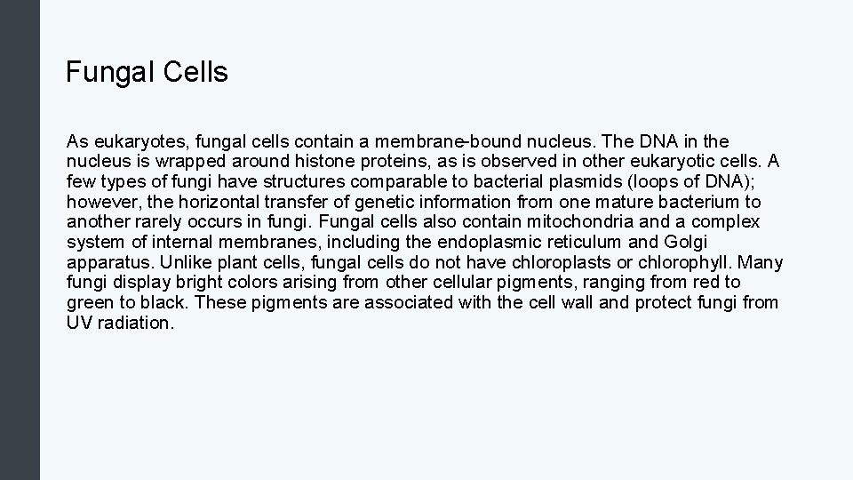 Fungal Cells As eukaryotes, fungal cells contain a membrane-bound nucleus. The DNA in the