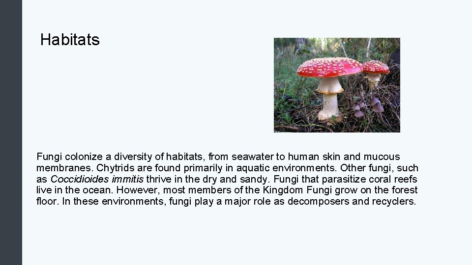 Habitats Fungi colonize a diversity of habitats, from seawater to human skin and mucous