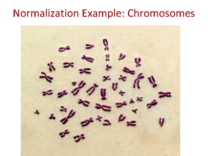 Normalization Example: Chromosomes 