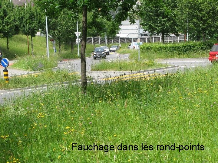 Fauchage dans les rond-points 