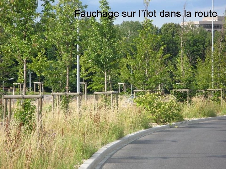 Fauchage sur l’îlot dans la route 