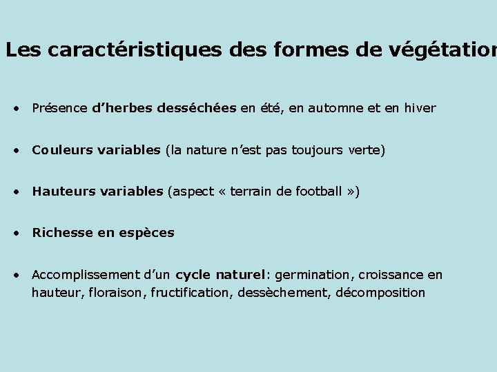 Les caractéristiques des formes de végétation • Présence d’herbes desséchées en été, en automne