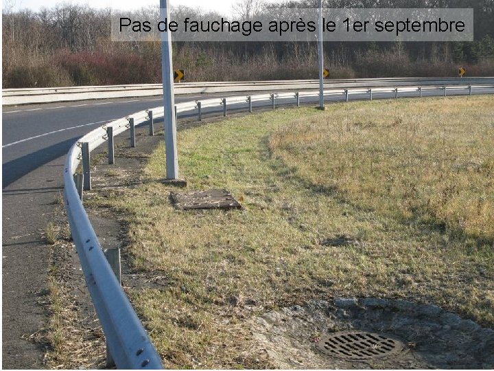 Pas de fauchage après le 1 er septembre 