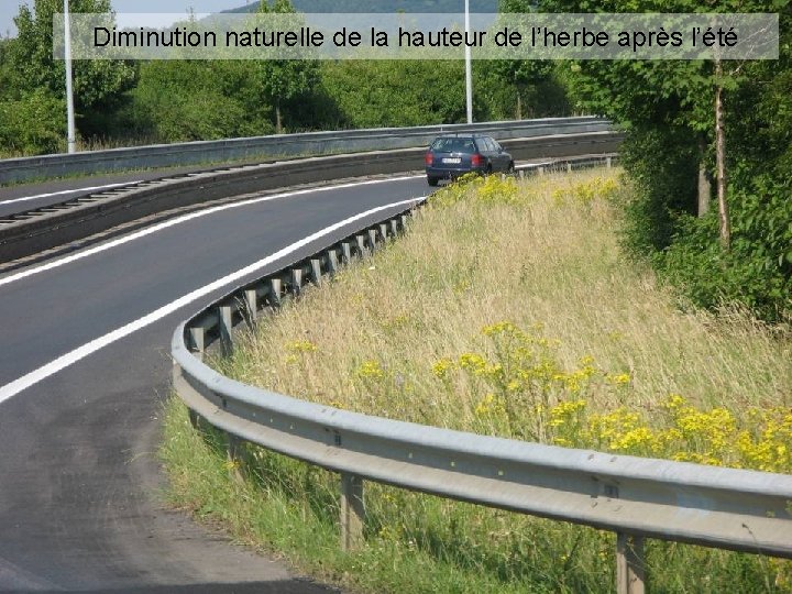 Diminution naturelle de la hauteur de l’herbe après l’été 