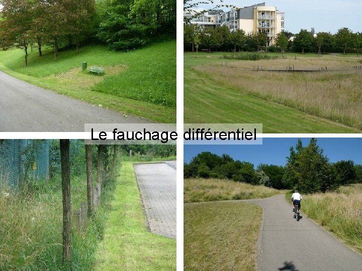 Le fauchage différentiel 