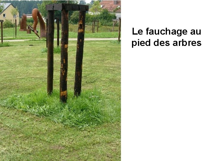 Le fauchage au pied des arbres 