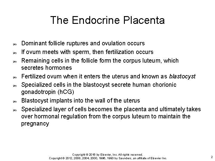The Endocrine Placenta Dominant follicle ruptures and ovulation occurs If ovum meets with sperm,