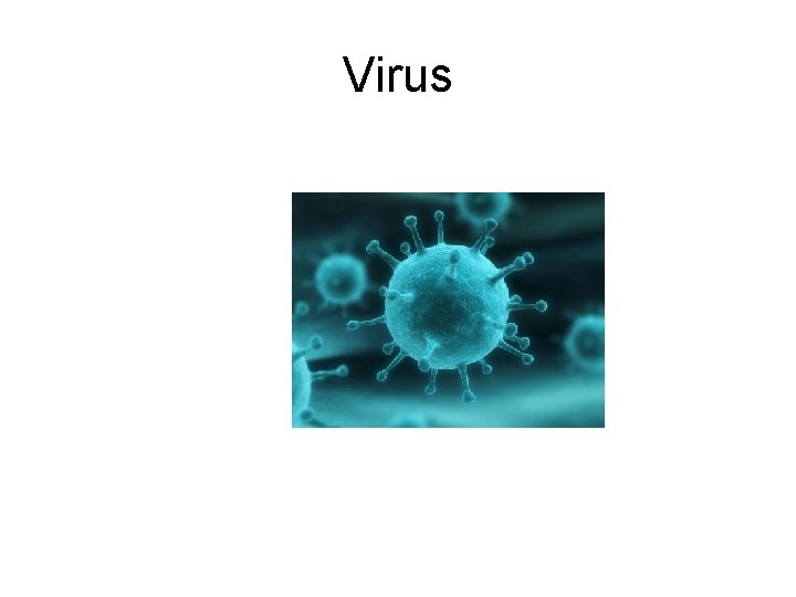 Virus 