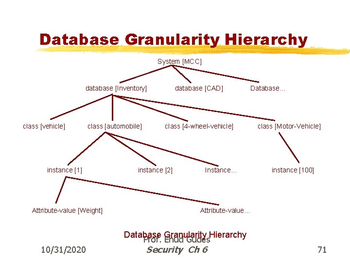 Database Granularity Hierarchy System [MCC] database [Inventory] database [CAD] class [automobile] class [4 -wheel-vehicle]