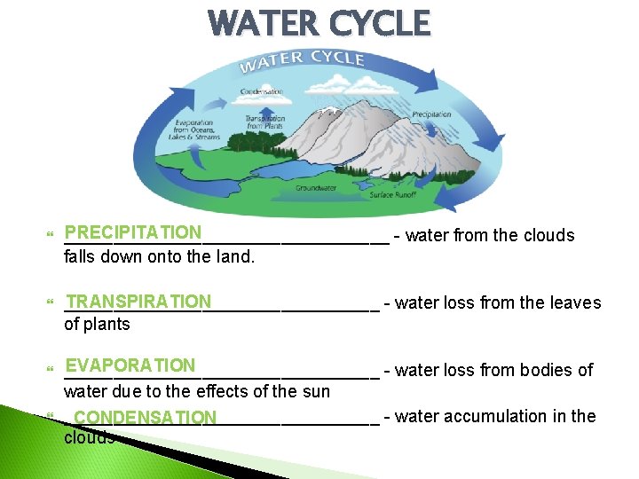 WATER CYCLE PRECIPITATION _________________ - water from the clouds falls down onto the land.