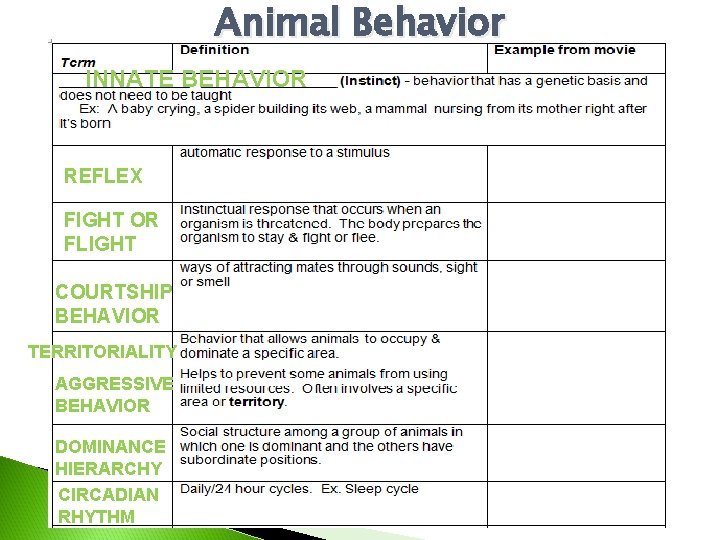 Animal Behavior INNATE BEHAVIOR REFLEX FIGHT OR FLIGHT COURTSHIP BEHAVIOR TERRITORIALITY AGGRESSIVE BEHAVIOR DOMINANCE