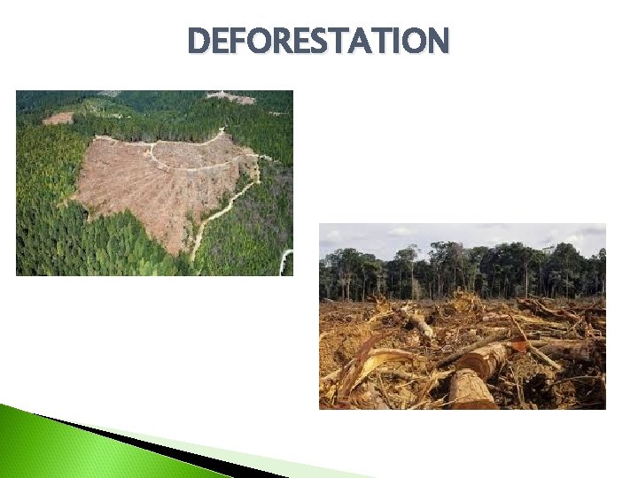 DEFORESTATION 