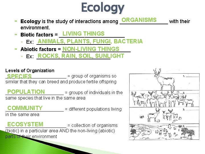 Ecology ORGANISMS Ecology is the study of interactions among _________ with their environment. LIVING