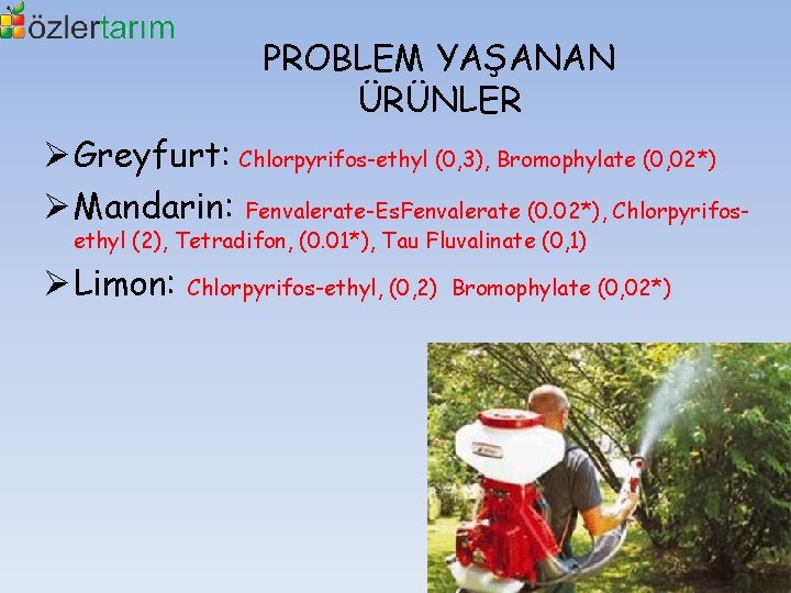 PROBLEM YAŞANAN ÜRÜNLER Ø Greyfurt: Chlorpyrifos-ethyl (0, 3), Bromophylate (0, 02*) Ø Mandarin: Fenvalerate-Es.