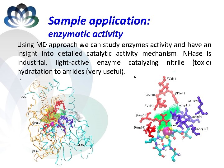 Sample application: enzymatic activity Using MD approach we can study enzymes activity and have