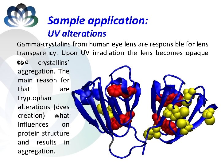 Sample application: UV alterations Gamma-crystalins from human eye lens are responsible for lens transparency.