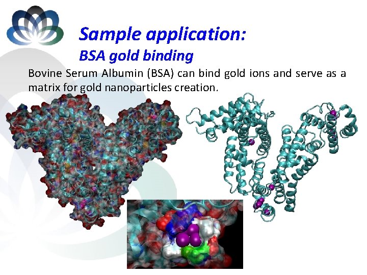 Sample application: BSA gold binding Bovine Serum Albumin (BSA) can bind gold ions and