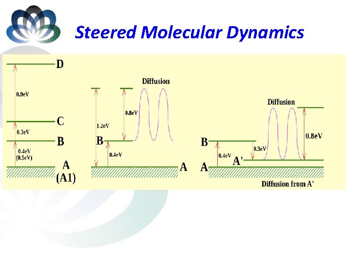 Steered Molecular Dynamics 