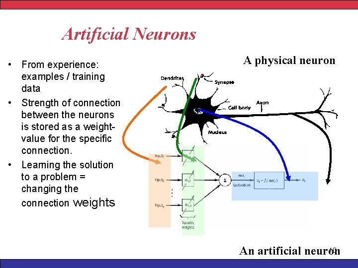 Artificial Neurons • From experience: examples / training data • Strength of connection between