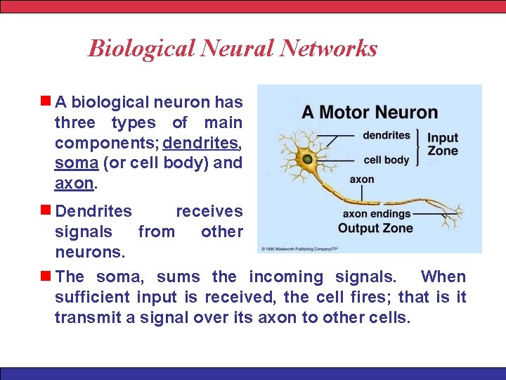 Biological Neural Networks A biological neuron has three types of main components; dendrites, soma