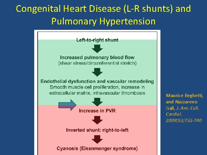 Congenital Heart Disease (L-R shunts) and Pulmonary Hypertension Maurice Beghetti, and Nazzareno Gali, J.