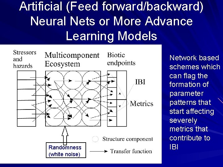 Artificial (Feed forward/backward) Neural Nets or More Advance Learning Models Randomness (white noise) Network