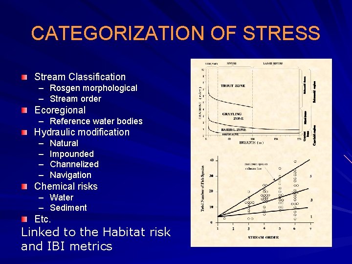 CATEGORIZATION OF STRESS Stream Classification – Rosgen morphological – Stream order Ecoregional – Reference
