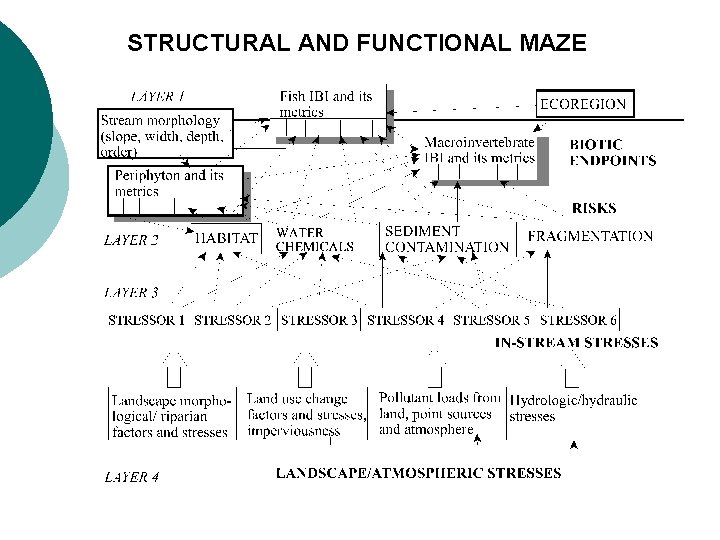 STRUCTURAL AND FUNCTIONAL MAZE 