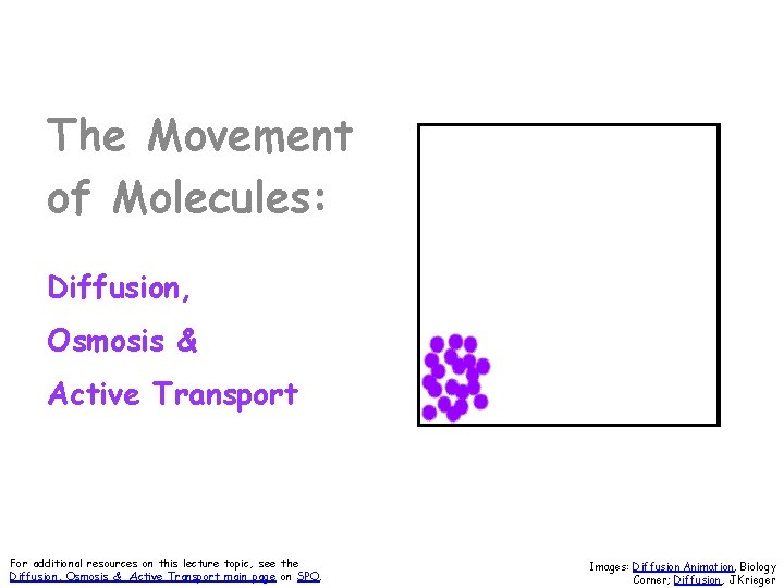The Movement of Molecules: Diffusion, Osmosis & Active Transport For additional resources on this