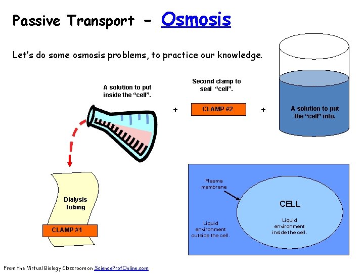 Passive Transport - Osmosis Let’s do some osmosis problems, to practice our knowledge. Second