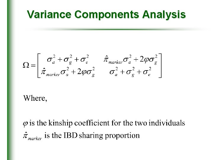 Variance Components Analysis 